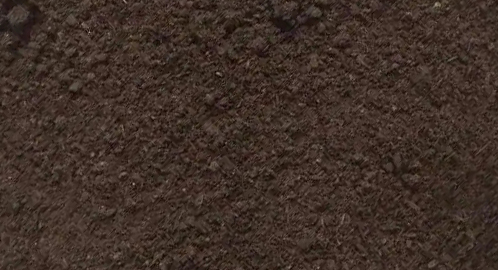 ��ʪ���Ϸ������������