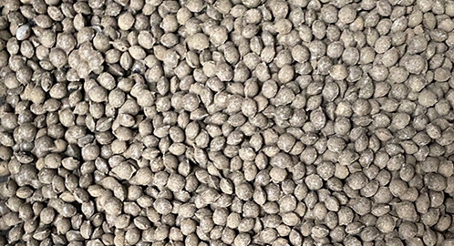 �Թ���ѹ��������Ƶ